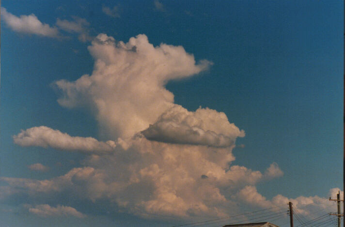cumulus humilis : Schofields, NSW   14 March 1999