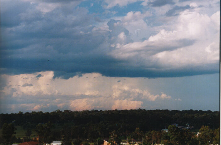 thunderstorm cumulonimbus_incus : Schofields, NSW   14 March 1999