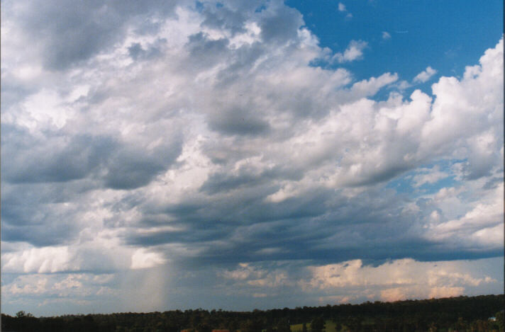 cumulus congestus : Schofields, NSW   14 March 1999