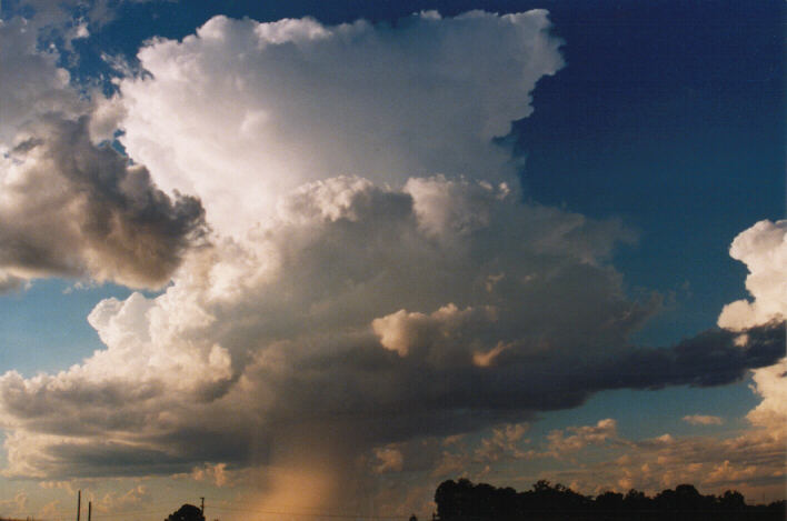 raincascade precipitation_cascade : Schofields, NSW   14 March 1999