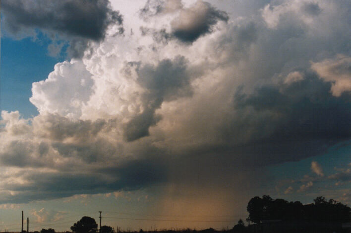 raincascade precipitation_cascade : Schofields, NSW   14 March 1999