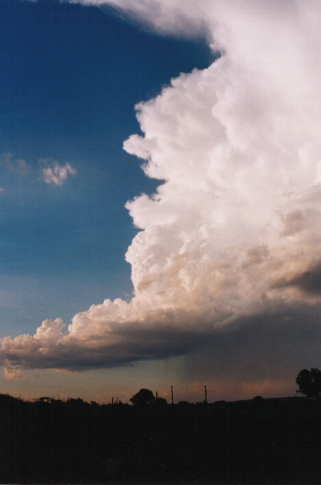 updraft thunderstorm_updrafts : Schofields, NSW   14 March 1999
