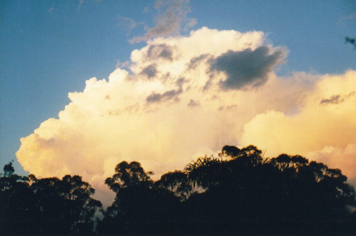 thunderstorm cumulonimbus_calvus : Oakhurst, NSW   14 March 1999