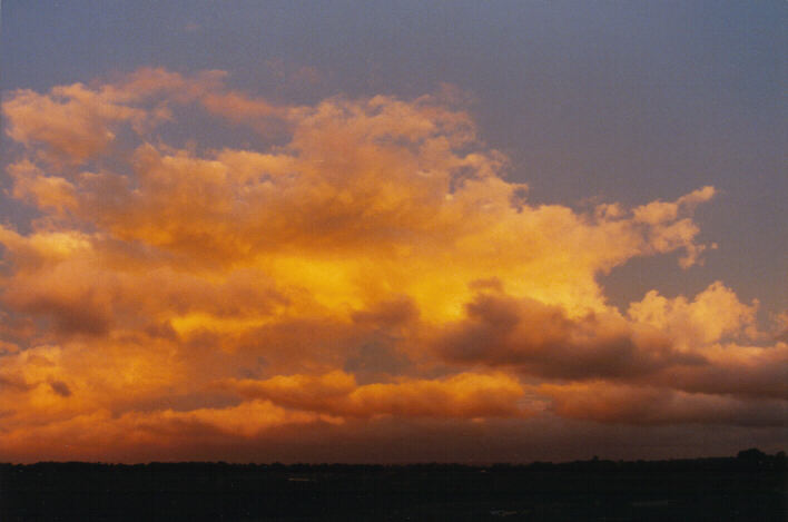 favourites jimmy_deguara : Schofields, NSW   22 March 1999