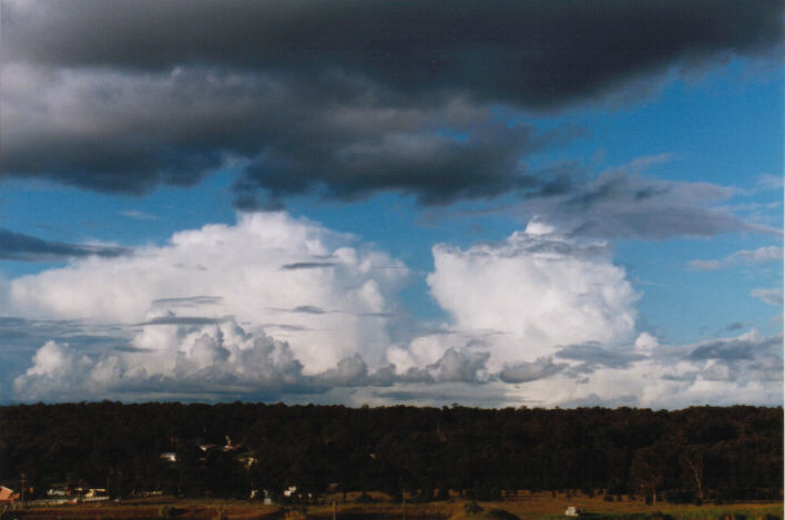 cumulus mediocris : Schofields, NSW   10 April 1999