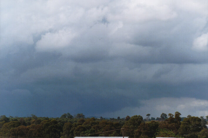 stratus stratus_cloud : Schofields, NSW   11 April 1999