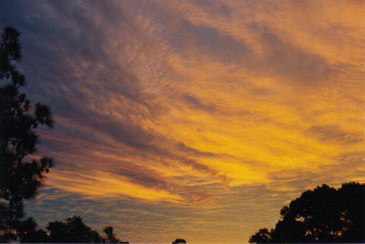 altocumulus altocumulus_cloud : Wollongbar, NSW   31 May 1999