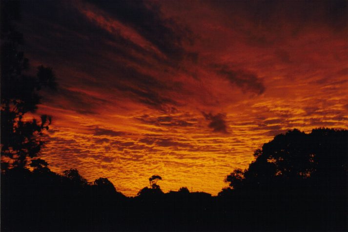 altocumulus altocumulus_cloud : Wollongbar, NSW   31 May 1999