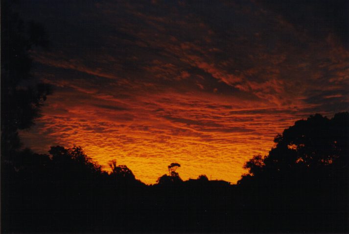 sunset sunset_pictures : Wollongbar, NSW   31 May 1999