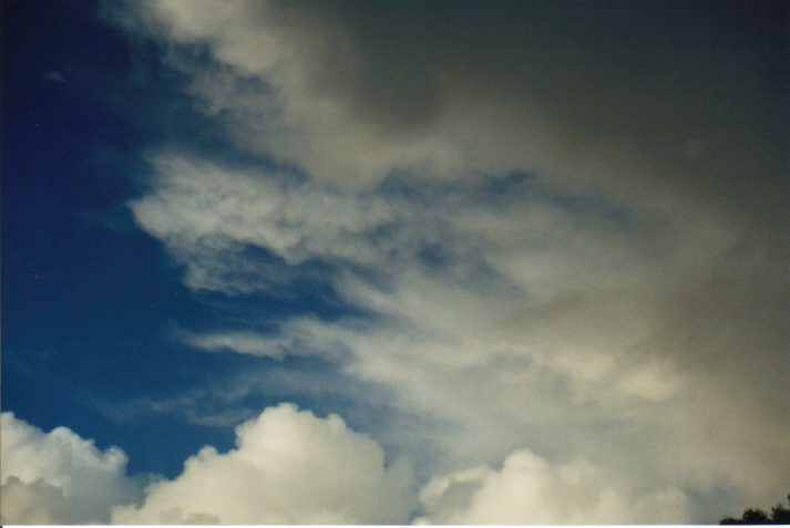 cumulus mediocris : Wollongbar, NSW   4 June 1999