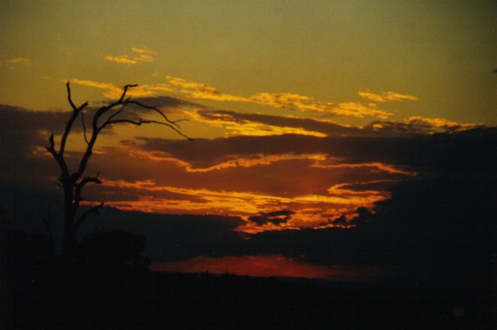 altocumulus altocumulus_cloud : McLeans Ridges, NSW   10 September 1999