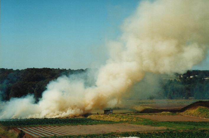 bushfire wild_fire : Schofields, NSW   19 September 1999