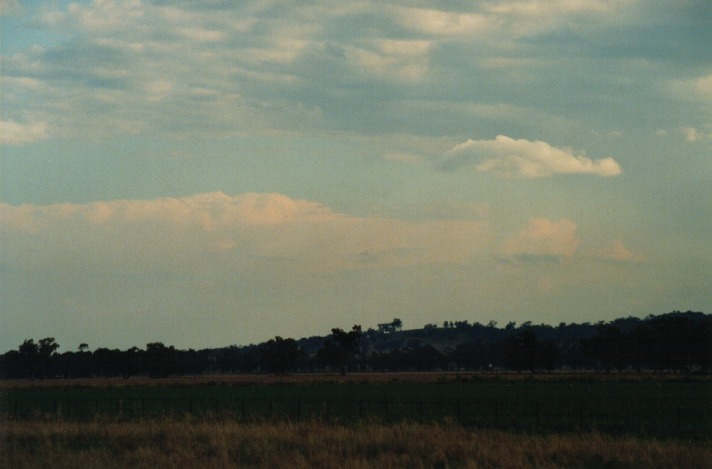 thunderstorm cumulonimbus_incus : Breeza Plains, NSW   25 September 1999