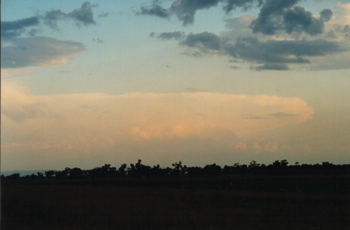 thunderstorm cumulonimbus_incus : Breeza Plains, NSW   25 September 1999