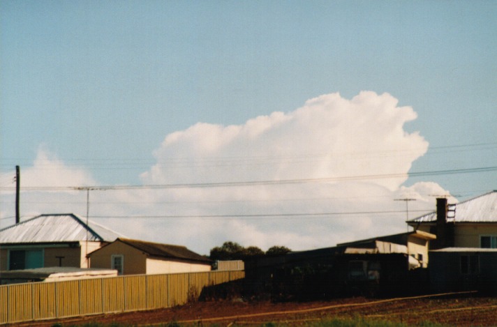 thunderstorm cumulonimbus_calvus : Schofields, NSW   29 September 1999