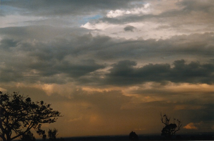 thunderstorm cumulonimbus_calvus : Horsley Park, NSW   1 October 1999