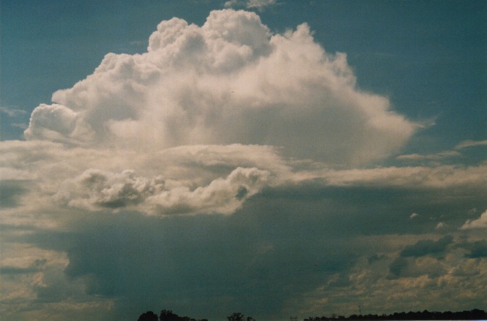 raincascade precipitation_cascade : Schofields, NSW   2 October 1999