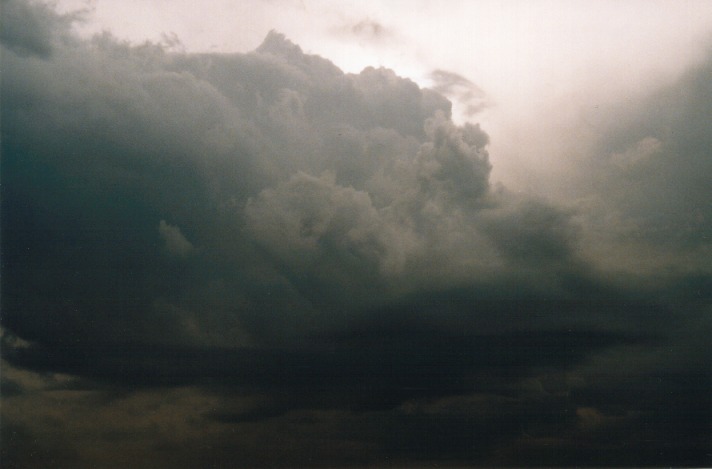 thunderstorm cumulonimbus_calvus : Rooty Hill, NSW   18 October 1999