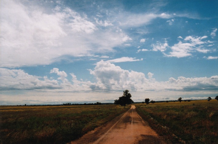 altocumulus castellanus : Dubbo, NSW   23 October 1999