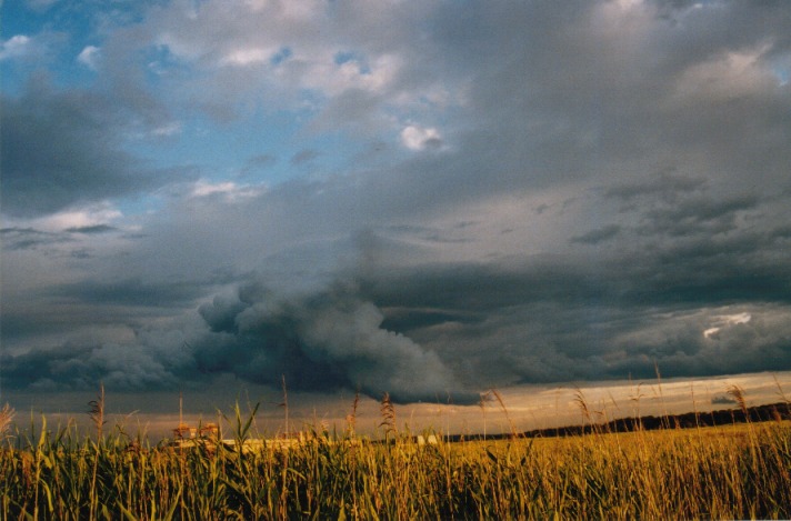 altocumulus altocumulus_cloud : Raymond Terrace, NSW   24 October 1999