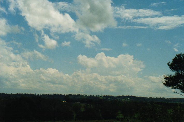 cumulus congestus : Wyrallah, NSW   24 October 1999