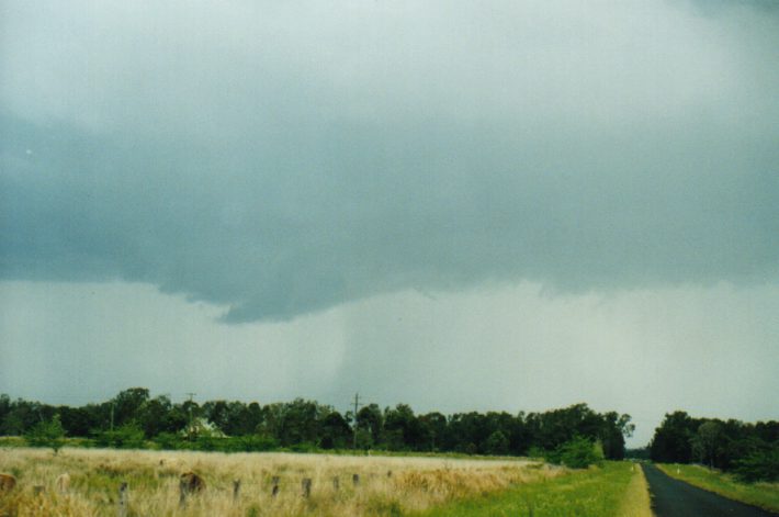 cumulonimbus thunderstorm_base : Tatham, NSW   24 October 1999