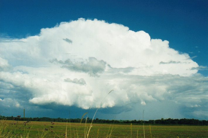 cumulonimbus supercell_thunderstorm : S of Lismore, NSW   24 October 1999