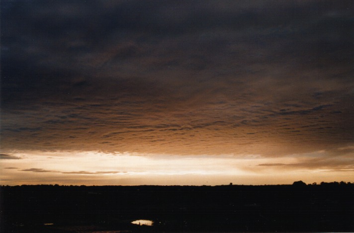 favourites jimmy_deguara : Schofields, NSW   26 October 1999