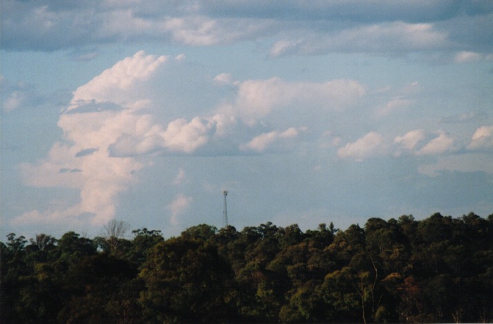 cumulus mediocris : Schofields, NSW   27 October 1999