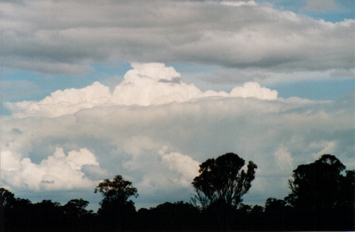 thunderstorm cumulonimbus_calvus : Richmond, NSW   6 November 1999