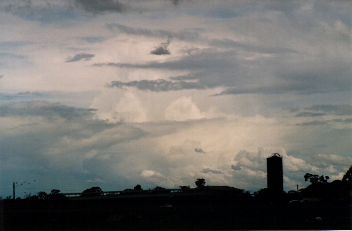 altocumulus altocumulus_cloud : Richmond, NSW   6 November 1999
