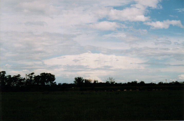 altocumulus altocumulus_cloud : Richmond, NSW   6 November 1999