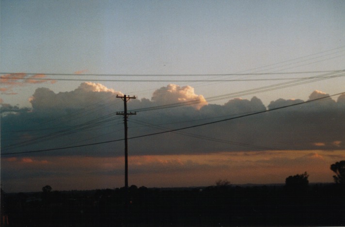 cumulus mediocris : Schofields, NSW   7 November 1999