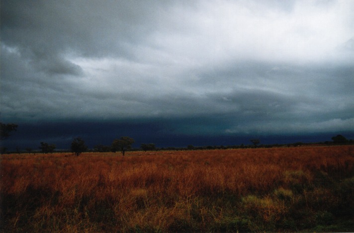 cumulonimbus thunderstorm_base : Barringun, NSW   20 November 1999