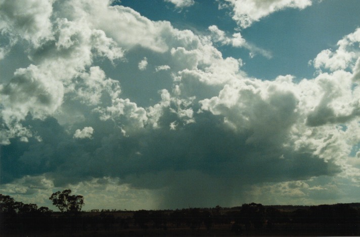 raincascade precipitation_cascade : E of Morven, Qld   21 November 1999