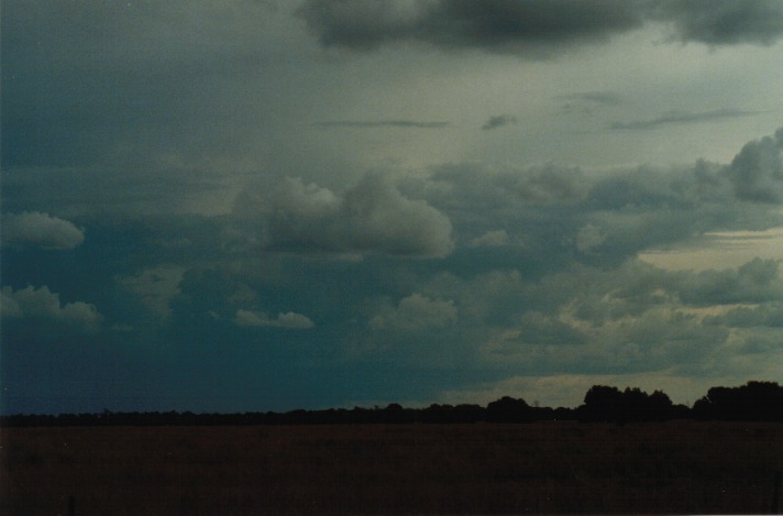 cumulonimbus supercell_thunderstorm : S of Condamine, Qld   22 November 1999