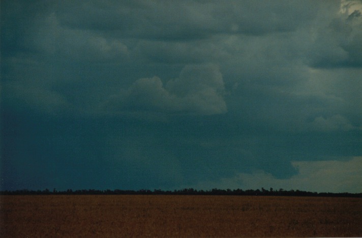 cumulonimbus supercell_thunderstorm : S of Condamine, Qld   22 November 1999