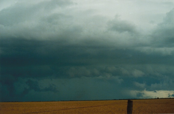 raincascade precipitation_cascade : S of Condamine, Qld   22 November 1999