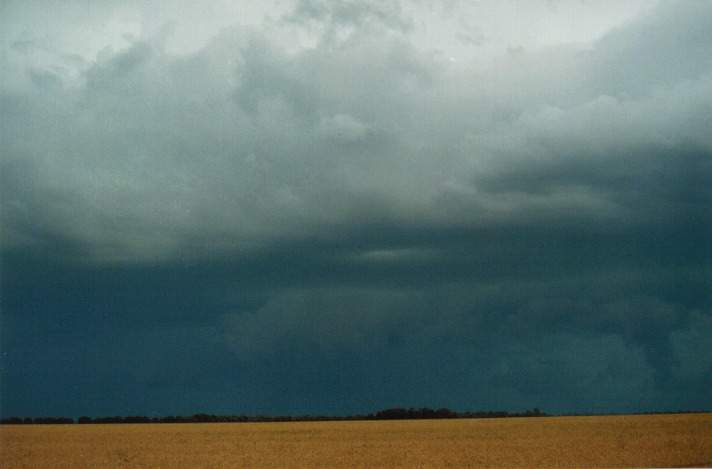 cumulonimbus supercell_thunderstorm : S of Condamine, Qld   22 November 1999