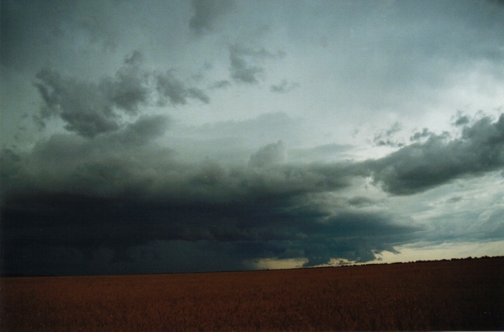 cumulonimbus supercell_thunderstorm : S of Condamine, Qld   22 November 1999