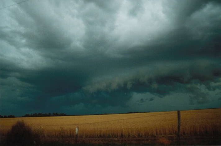 cumulonimbus thunderstorm_base : S of Condamine, Qld   22 November 1999