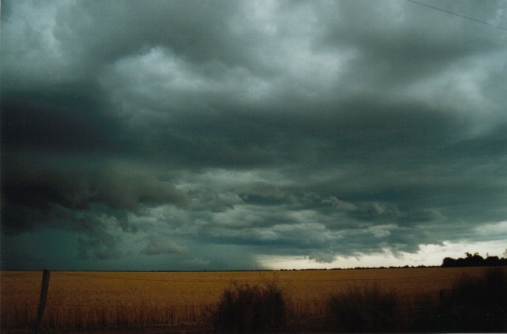 cumulonimbus supercell_thunderstorm : S of Condamine, Qld   22 November 1999