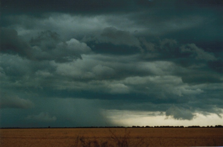 raincascade precipitation_cascade : S of Condamine, Qld   22 November 1999