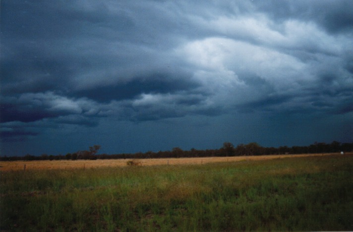 raincascade precipitation_cascade : W of Dalby, Qld   22 November 1999