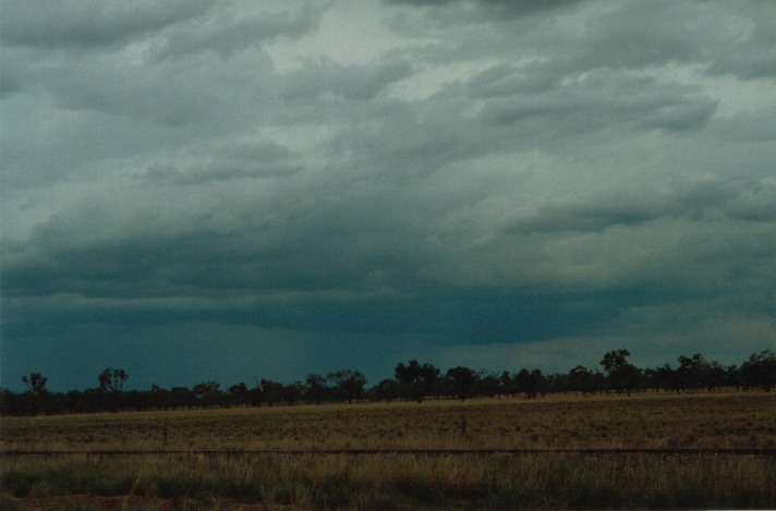 cumulonimbus thunderstorm_base : S of Wyandra, Qld   26 November 1999