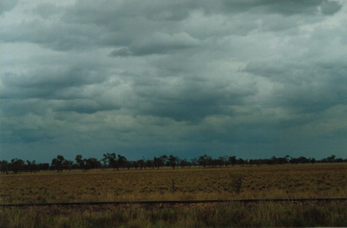 stratocumulus stratocumulus_cloud : S of Wyandra, Qld   26 November 1999