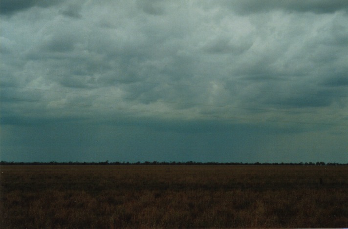 stratocumulus stratocumulus_cloud : S of Wyandra, Qld   26 November 1999