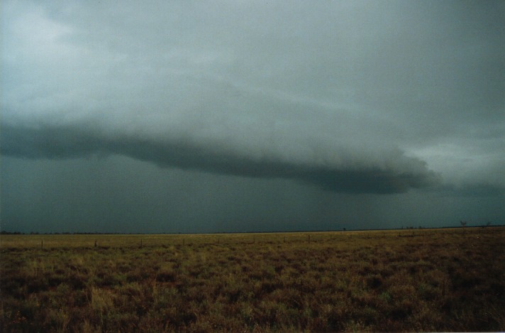 shelfcloud shelf_cloud : N of Cunumulla, Qld   26 November 1999