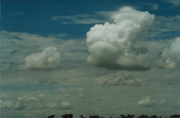 altocumulus castellanus : near Cunnamulla, Qld   27 November 1999