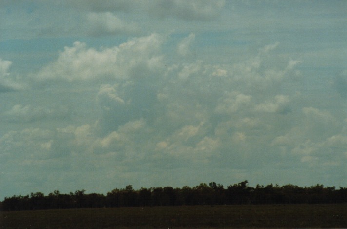 cumulus mediocris : S of Cunumulla, Qld   27 November 1999